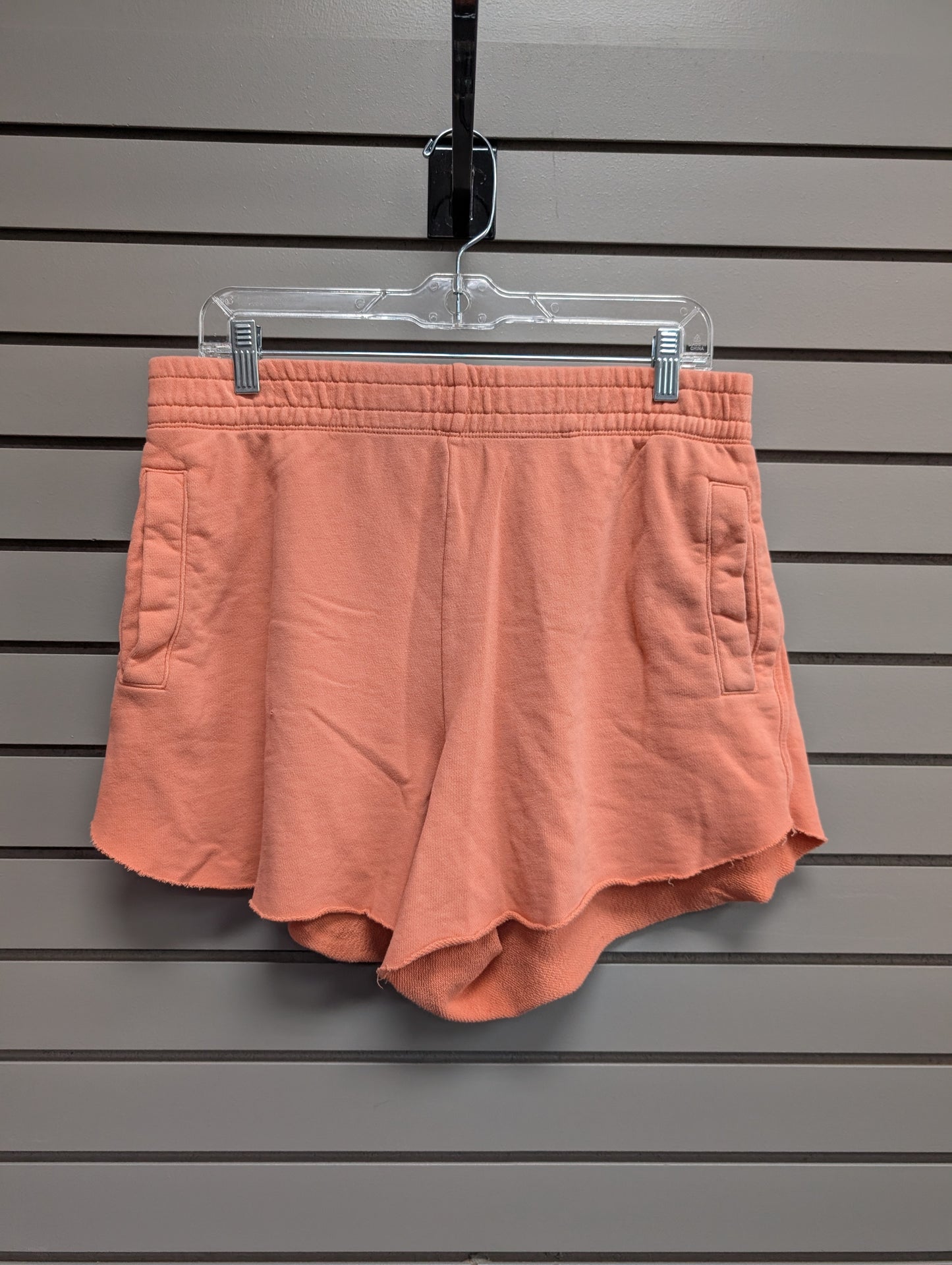 Women's Waist Size L Aerie Peach Short Short