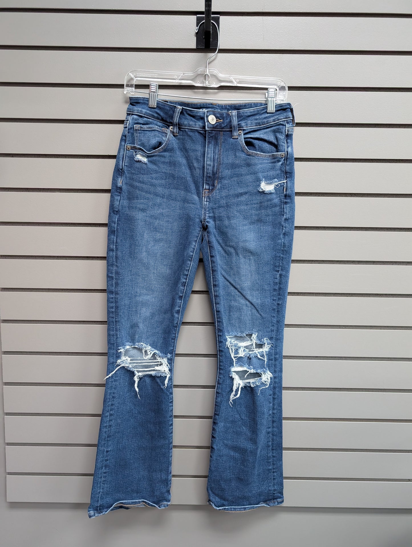 Women's Waist Size 6 American Eagle Blue Jean