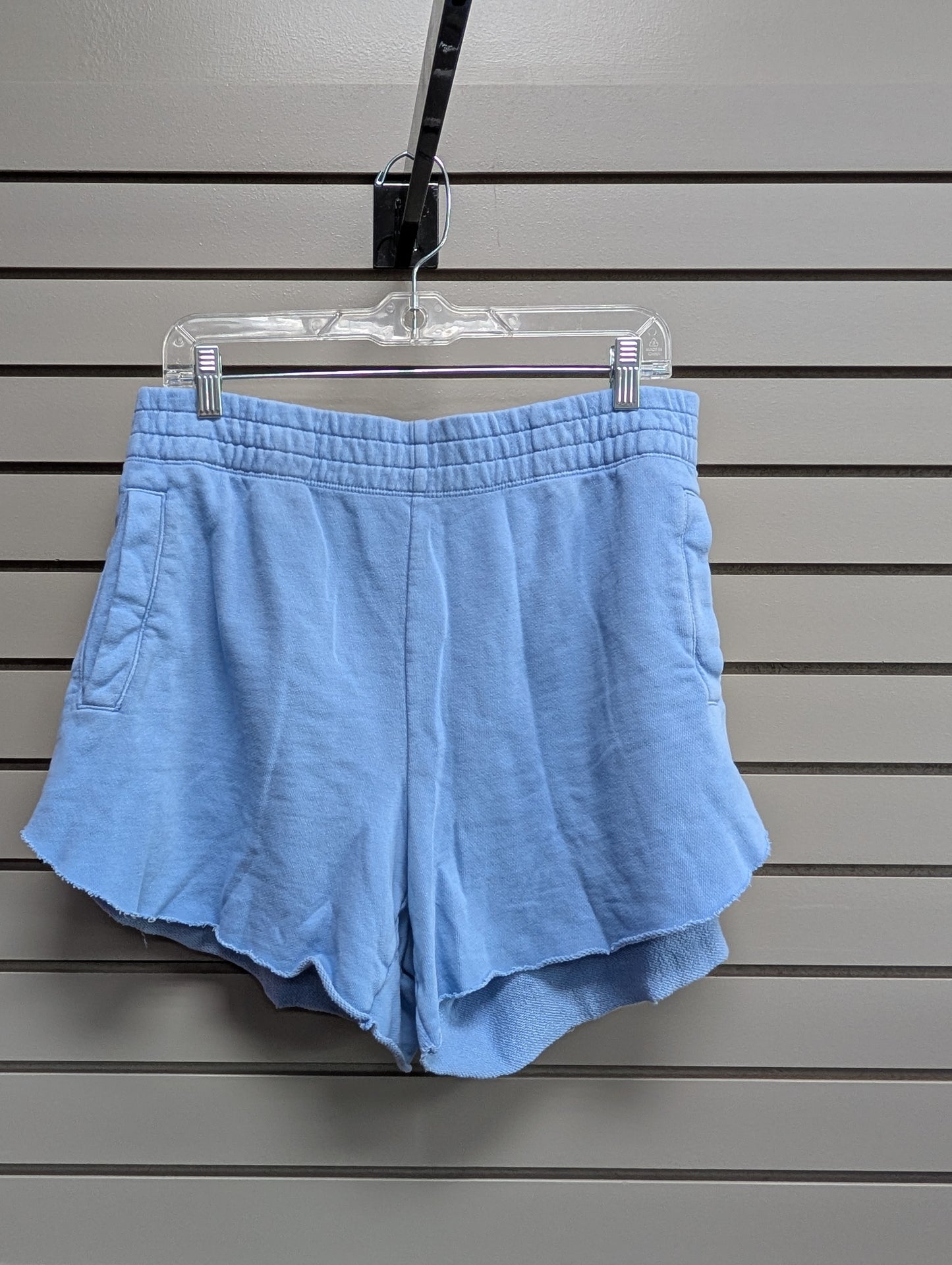 Women's Waist Size XL Aerie Light Blue Short Short