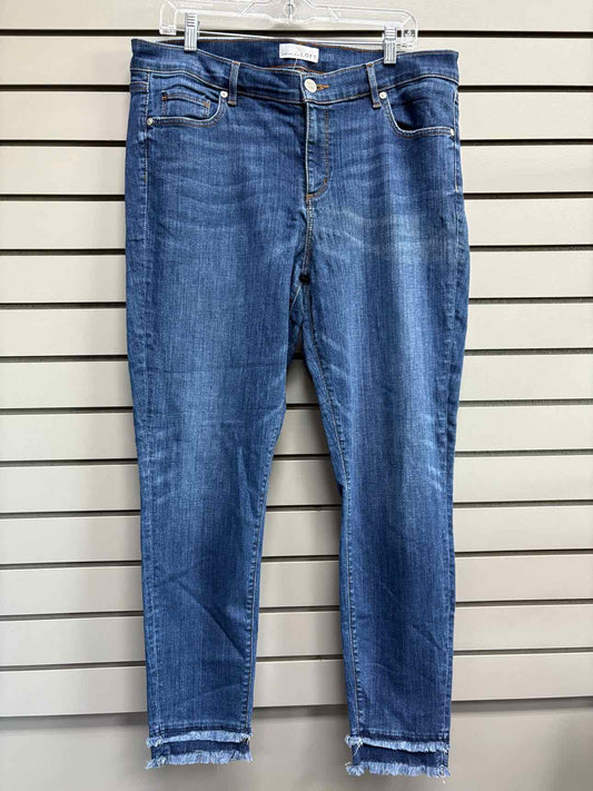 Women's Waist Size 32 LOFT Blue Jean