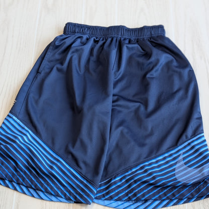 Size L Nike Navy Shorts - Athletic