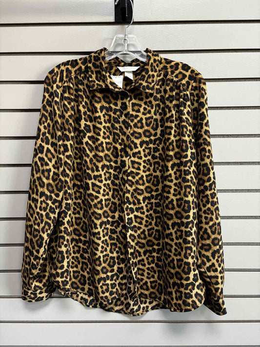 Women's Women Size M Brown H & M Cheetah Long Sleeve Shirt