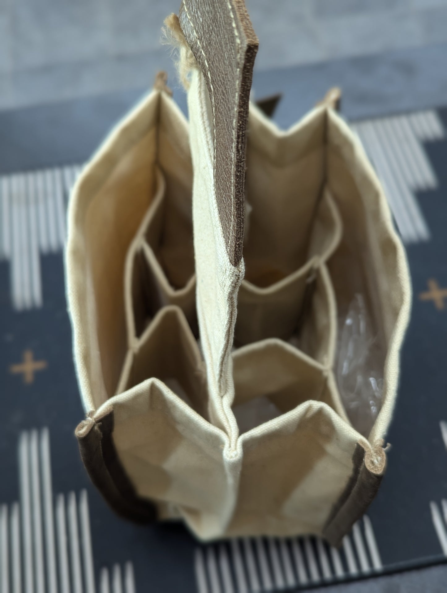 Drink Beer Save Water Carrier