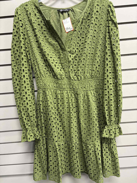 Women's Size Large Green Pretty Garden Long Sleeve Knee Length Dress