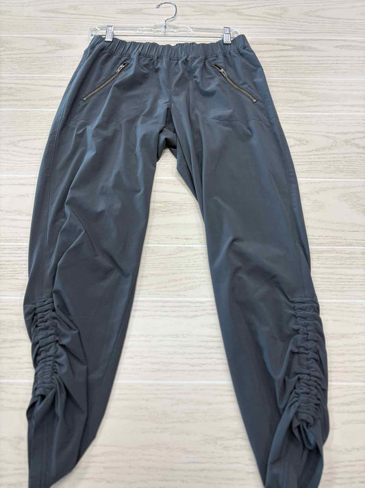 Women's Women Size 6 Athleta Charcoal Pant