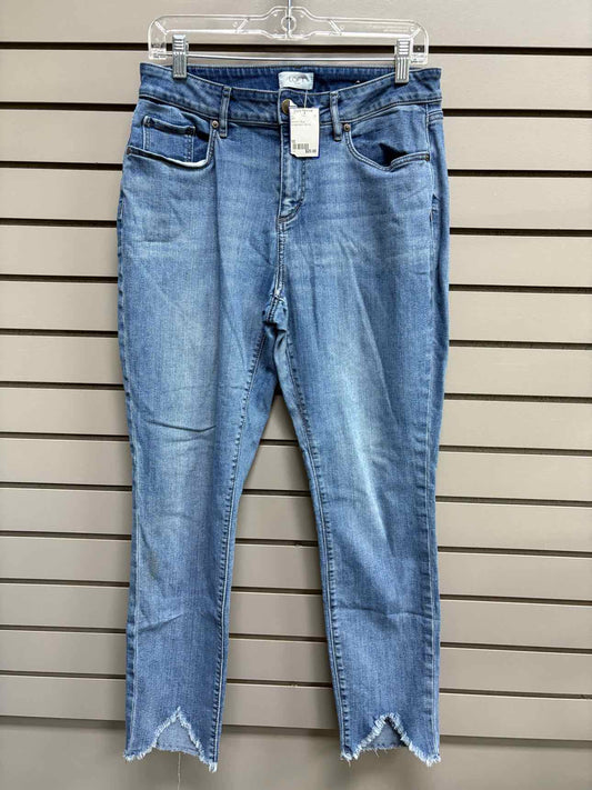 Women's Waist Size 10 LOFT Blue Jean