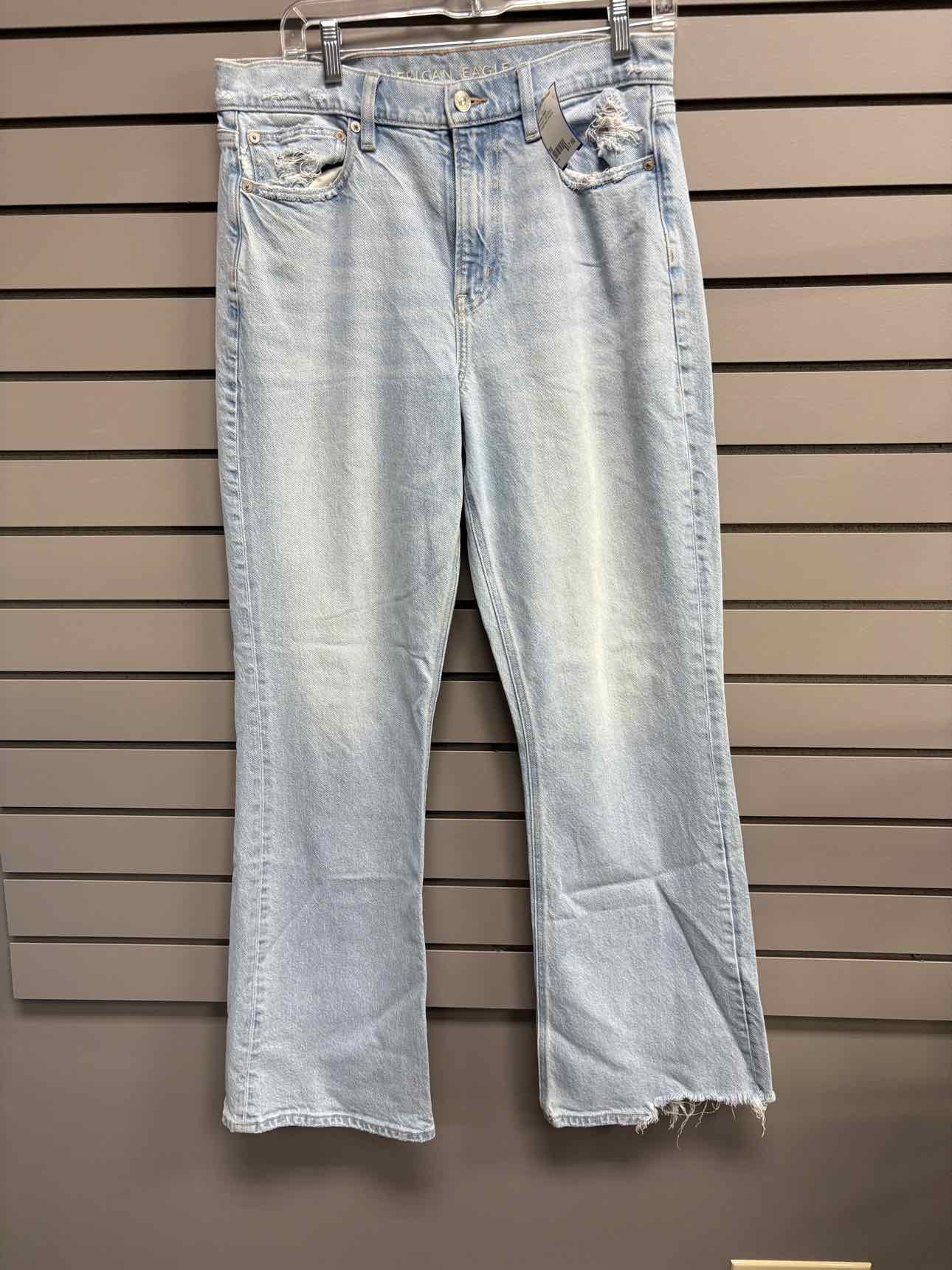 Women's Waist Size 10 American Eagle Light Blue Jean