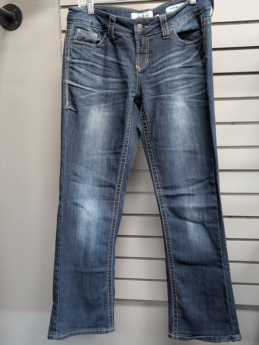 Women's Waist Size 28 daytrip Blue Jean