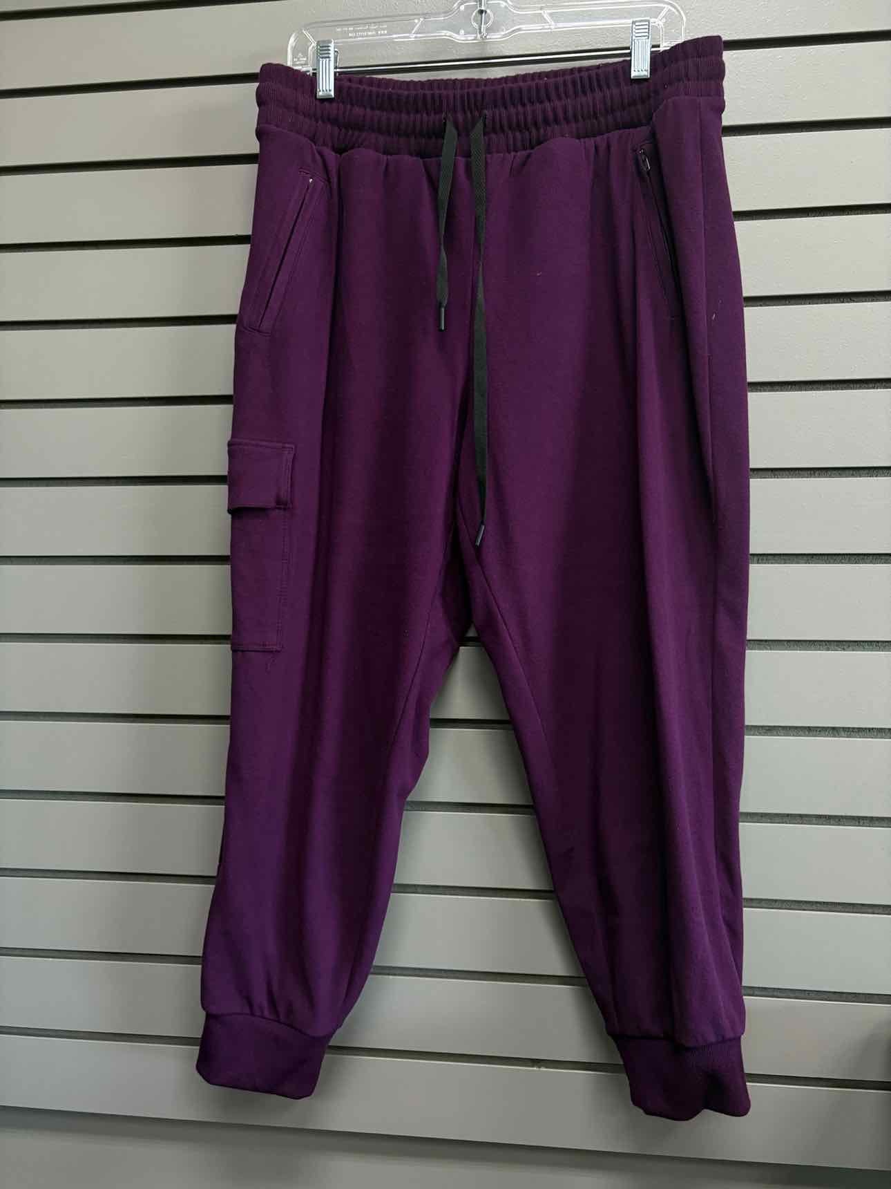 Women's Waist Size 1X Torrid Purple Jogger Pant